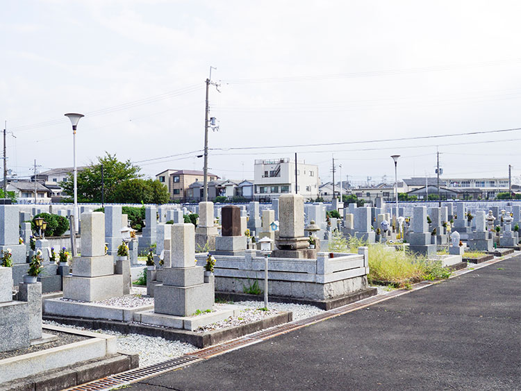 八尾市立　安中墓地