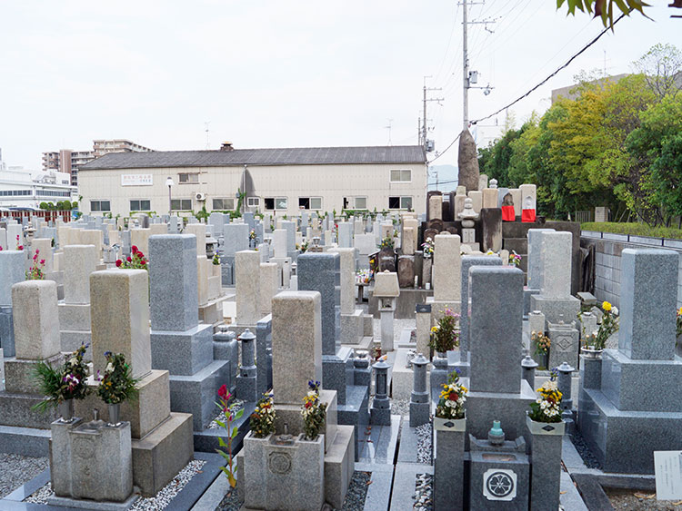 八尾市立 龍華墓地