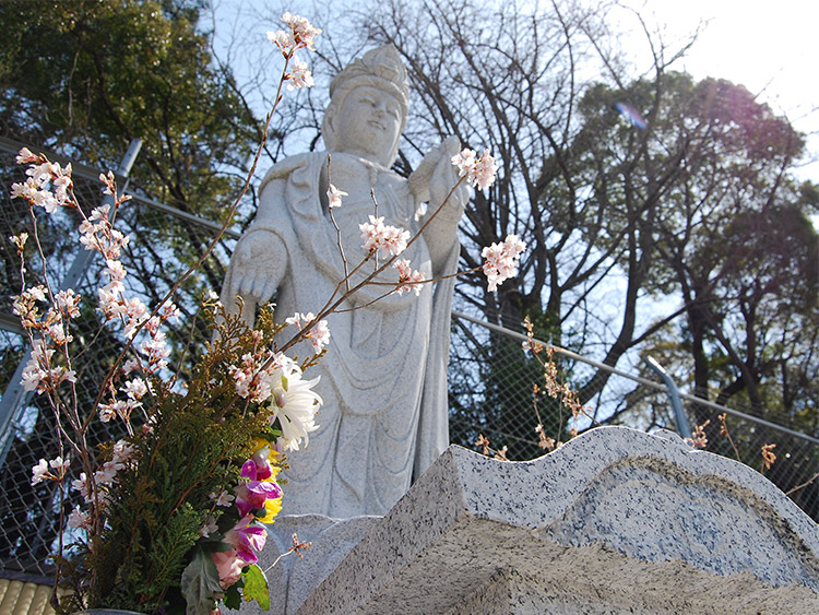 良運院の永代供養墓