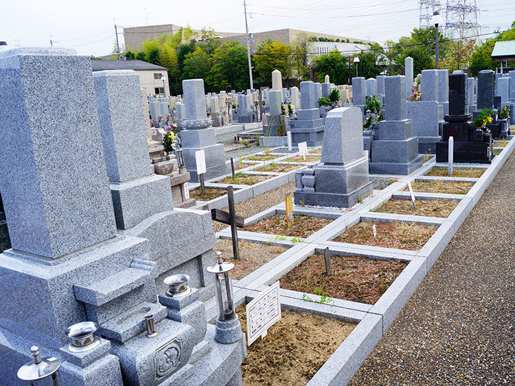 八尾市立 龍華墓地