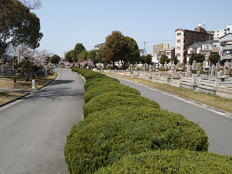 大阪市設 瓜破霊園
