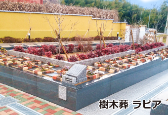 樹木葬　ラピア