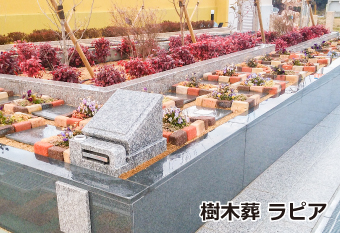 樹木葬　ラピア