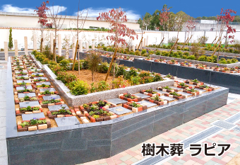 樹木葬　ラピア