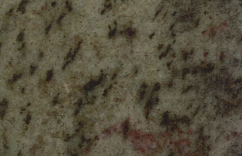 トロピカルグリーン