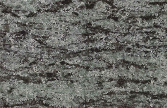 オリーブグリーンライン