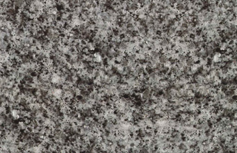 バイオレットブルー