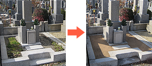 お墓の雑草の写真